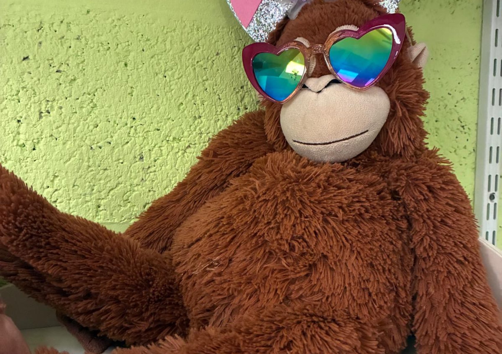 whatsapp image 2026-02-10 at 08.40.02